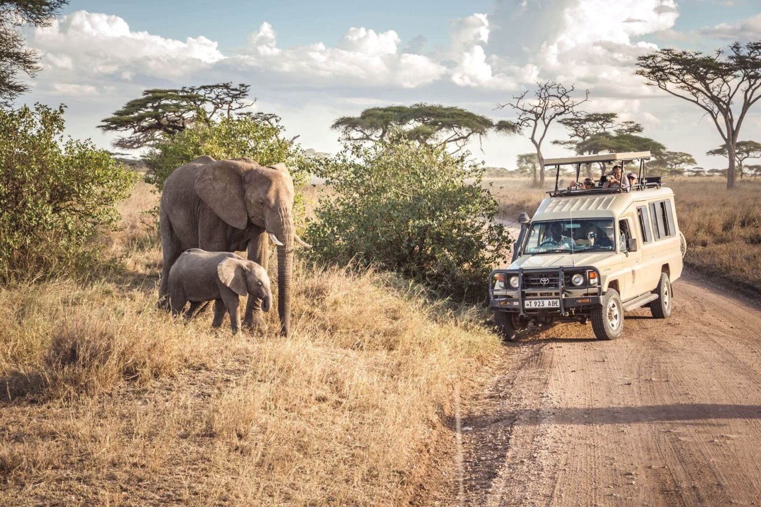 All Inclusive Safari Holidays