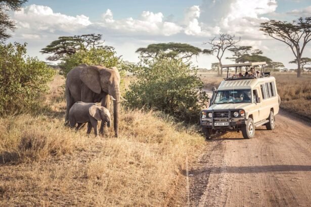 All Inclusive Safari Holidays