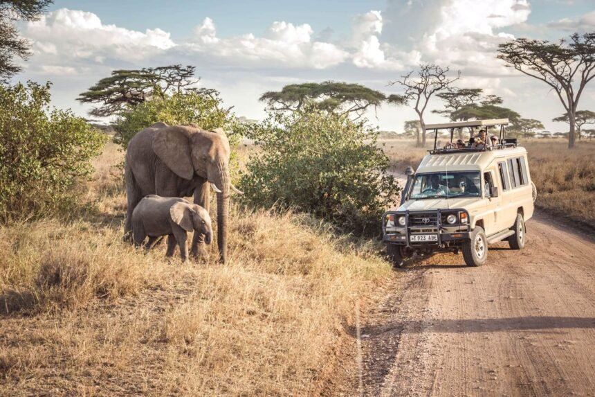 All Inclusive Safari Holidays