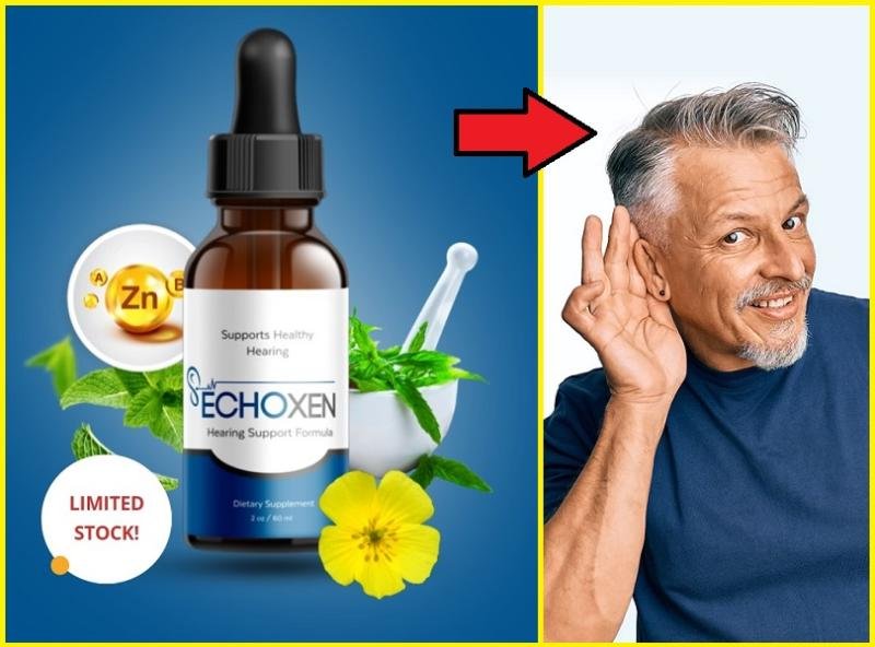 EchoXen