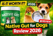 NativeGut