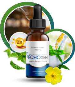 EchoXen