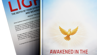 Awakened In The Light Book