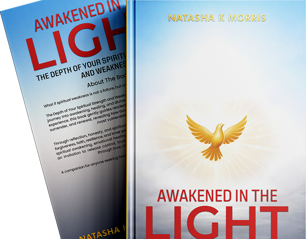 Awakened In The Light Book