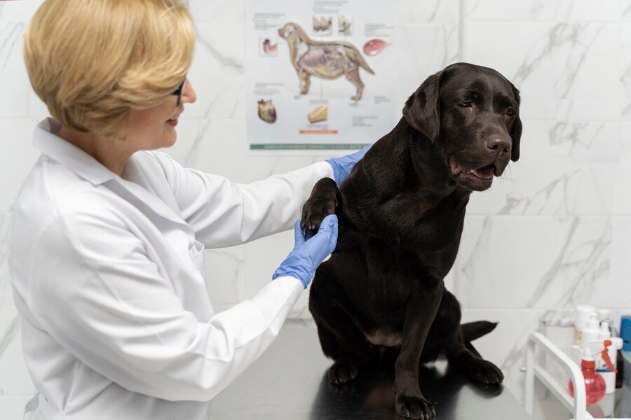Is Fenbendazole 1000Mg Safe for all Animals