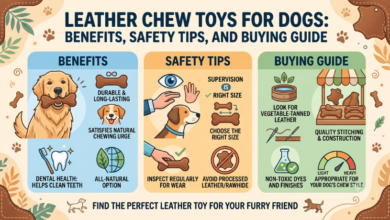leather chew toys for dogs
