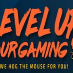 MMOs typically feature in-game text chat, typically featuring both world and local chat options that allow everyone on a server to communicate, as well as voice and private messaging support. Experience points earned during gameplay can be used to upgrade weapons and powers or level up.