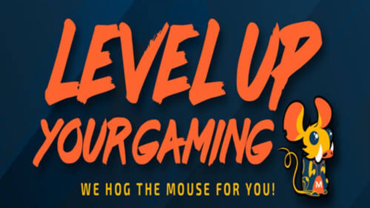MMOs typically feature in-game text chat, typically featuring both world and local chat options that allow everyone on a server to communicate, as well as voice and private messaging support. Experience points earned during gameplay can be used to upgrade weapons and powers or level up.