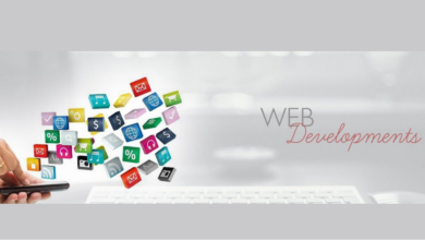 Web Development Services