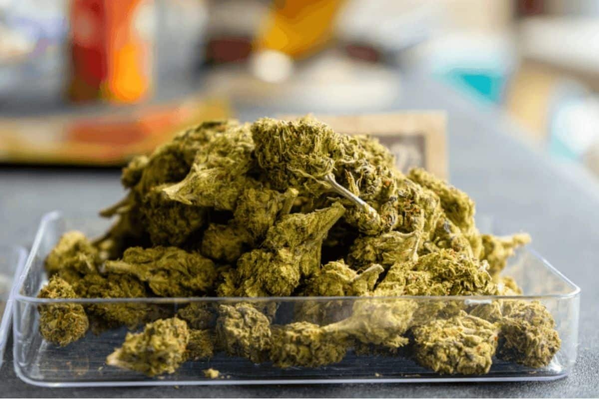 buy weed shake online