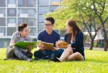 CIPS assignment help