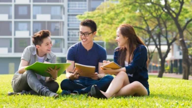 CIPS assignment help