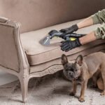 Pet Stain Odor Removal Ashburn
