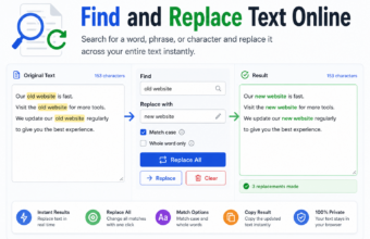 Find and Replace text tool showing original text, search phrase, replacement text, and updated result